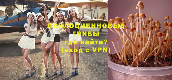 твердый Белокуриха