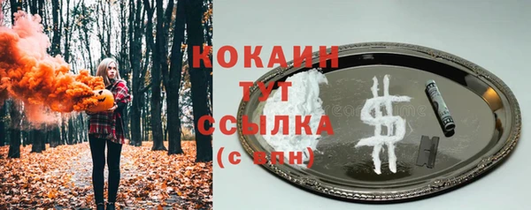 твердый Белокуриха