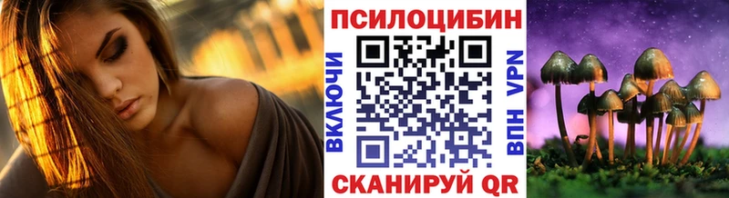 купить закладку  Облучье  Псилоцибиновые грибы Psilocybe 
